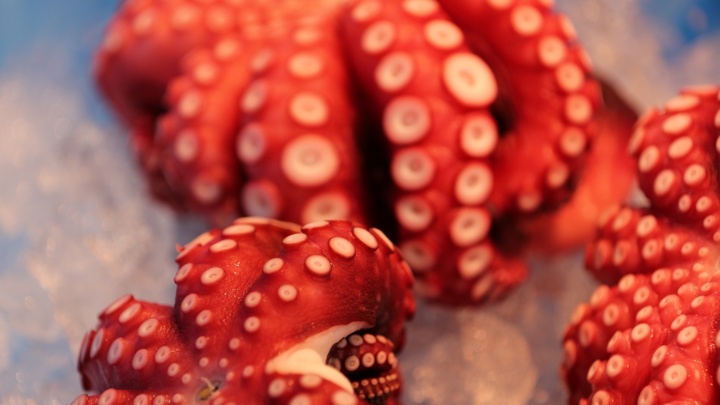 Tsukji Market, den största fiskmarknaden. 