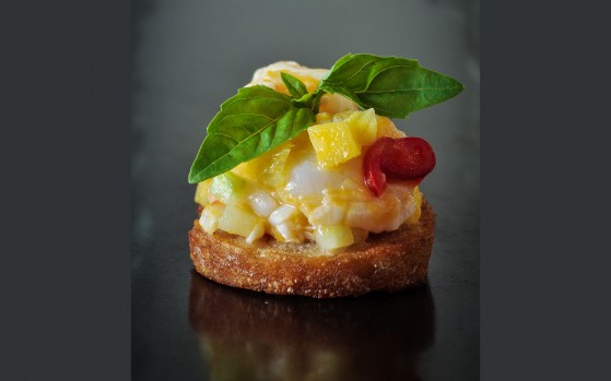 Ceviche på kammussla/pilgrimsmussla på smörstekt toast