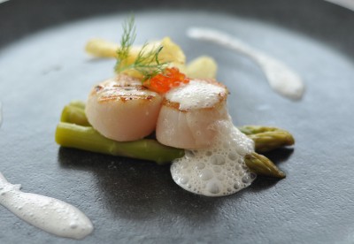 scallop