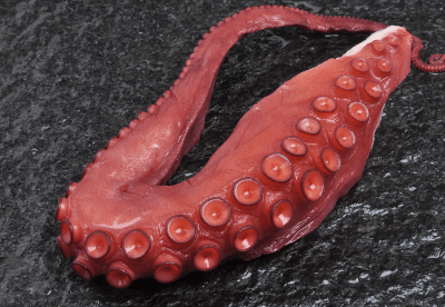 kokt octopus armar