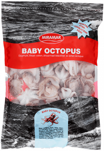 octopus membranaceus