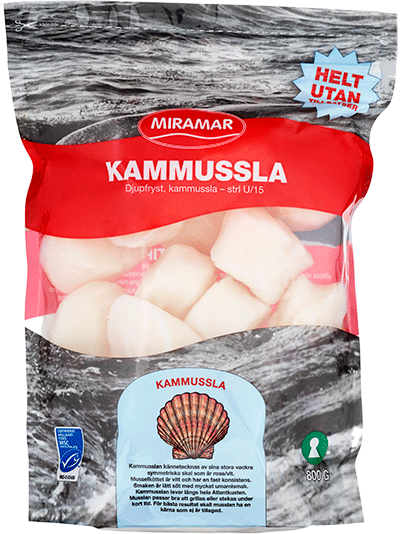 Kammussla U15, MSC